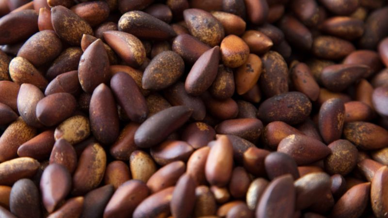 Loại quả đắt đỏ bậc nhất thế giới giá tới cả triệu đồng/kg: Việt Nam lại sở hữu cả vùng trồng rộng lớn - Ảnh 3.