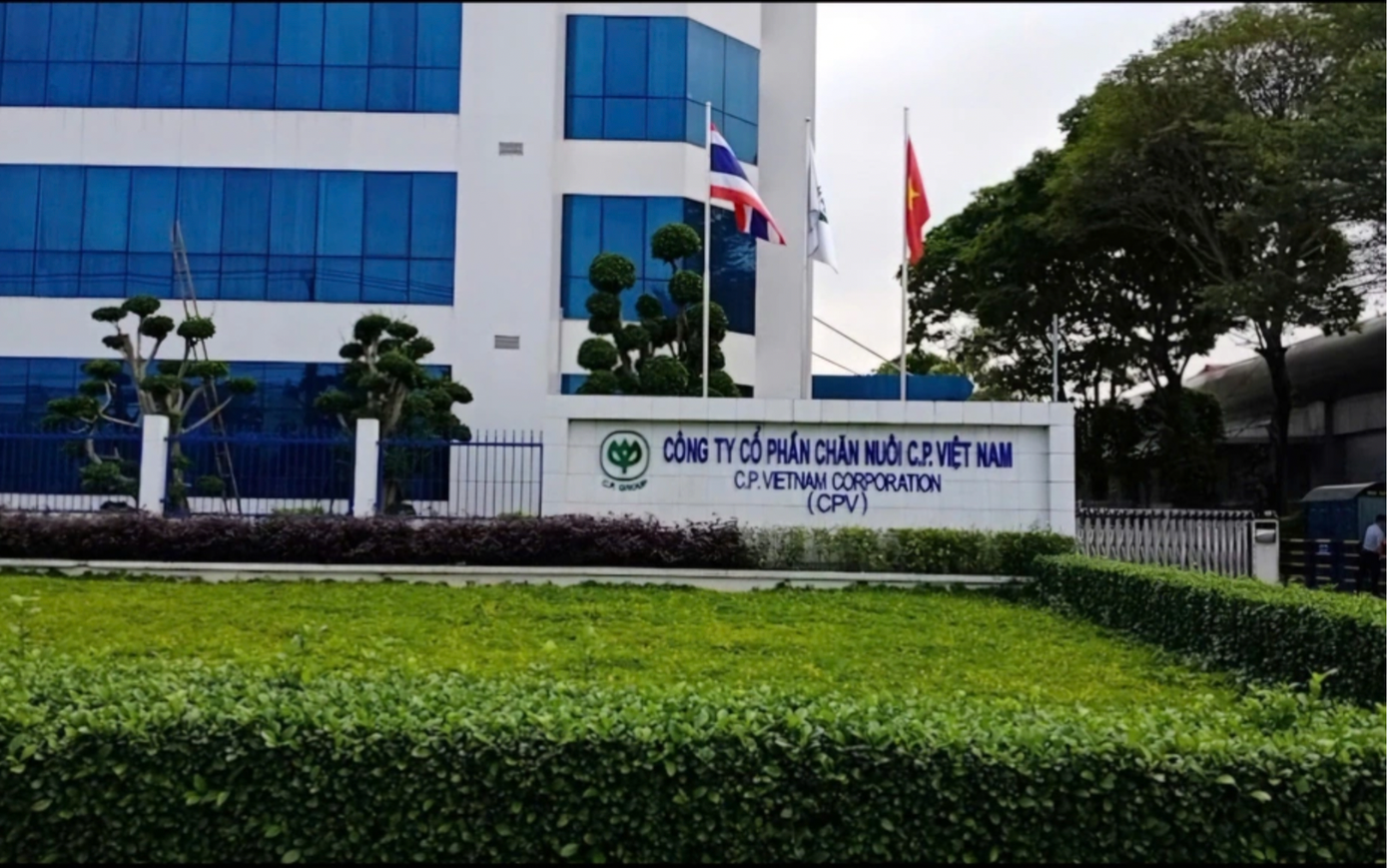 Thanh tra ba 'ông lớn' cung cấp thịt sạch, thức ăn chăn nuôi- Ảnh 1.