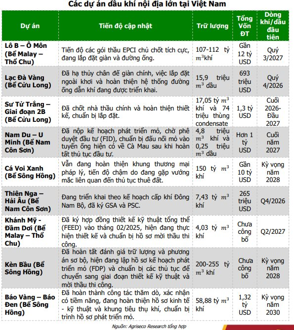 Loạt dự án tỷ USD bước vào giai đoạn triển khai đồng bộ, doanh nghiệp dầu khí nào sẵn sàng "đón sóng"?- Ảnh 1.