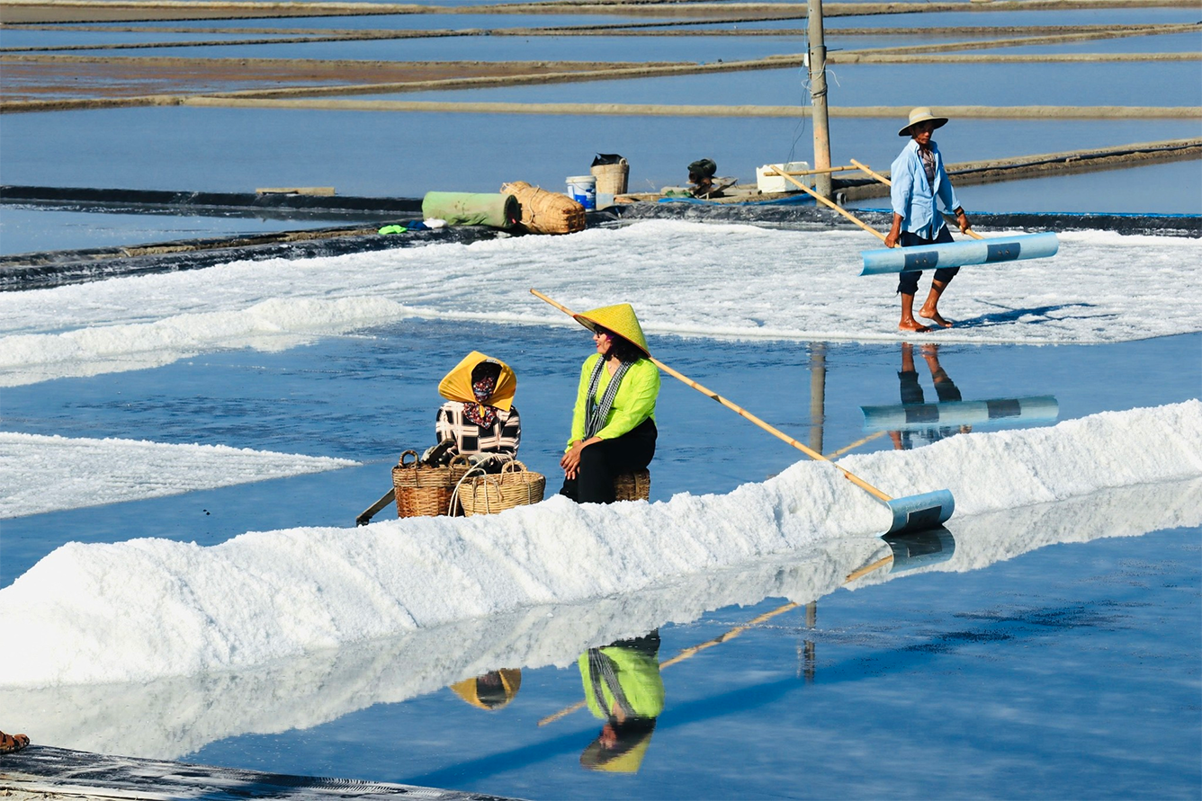 Ngọn núi ở TP.HCM cao hơn 10m: Được ví như "núi dễ leo nhất Việt Nam", xung quanh là hệ sinh thái hiếm có - Ảnh 6.