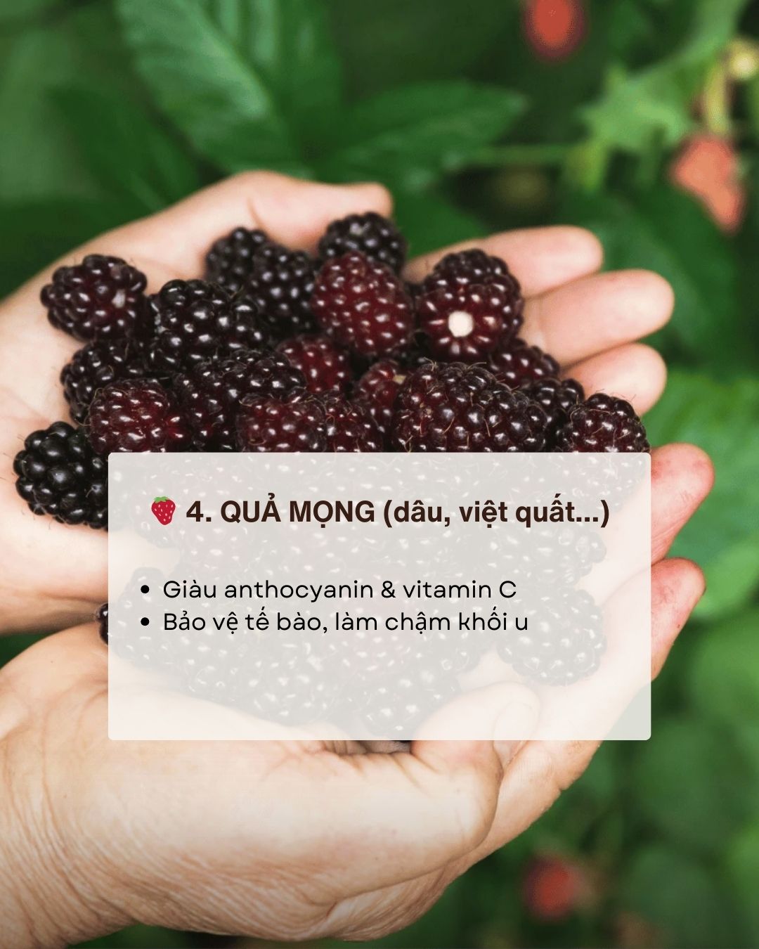 Không phải thuốc bổ nhưng ăn đúng 7 thực phẩm này giúp giảm nguy cơ ung thư "từ gốc" - Ảnh 5. Không phải thuốc bổ nhưng ăn đúng 7 thực phẩm này giúp giảm nguy cơ ung thư "từ gốc" - Ảnh 5.