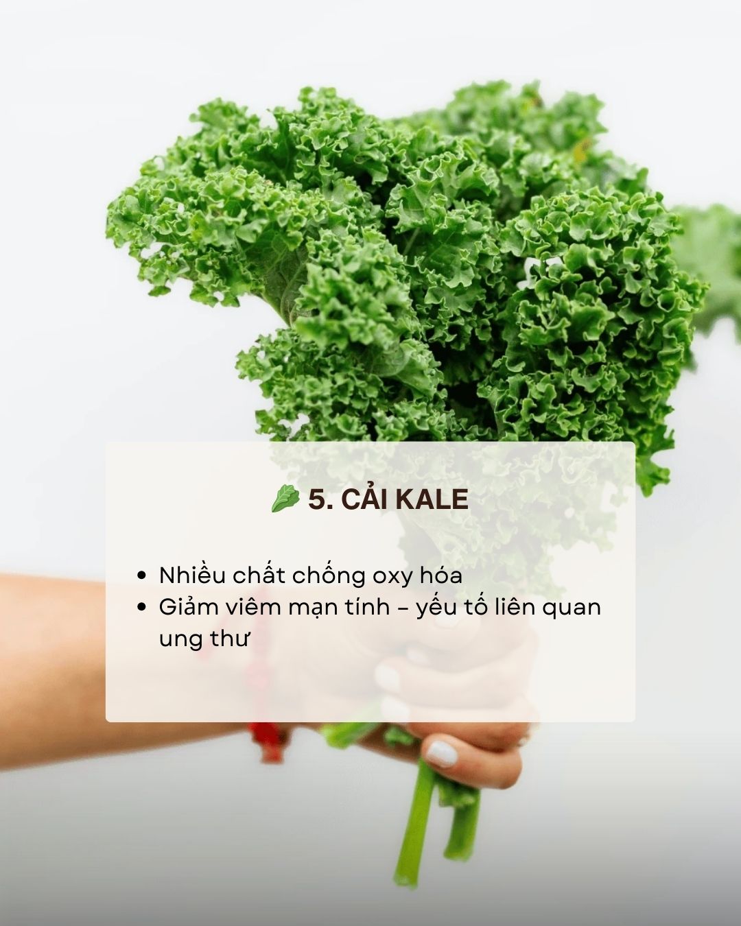 Không phải thuốc bổ nhưng ăn đúng 7 thực phẩm này giúp giảm nguy cơ ung thư "từ gốc" - Ảnh 6. Không phải thuốc bổ nhưng ăn đúng 7 thực phẩm này giúp giảm nguy cơ ung thư "từ gốc" - Ảnh 6.