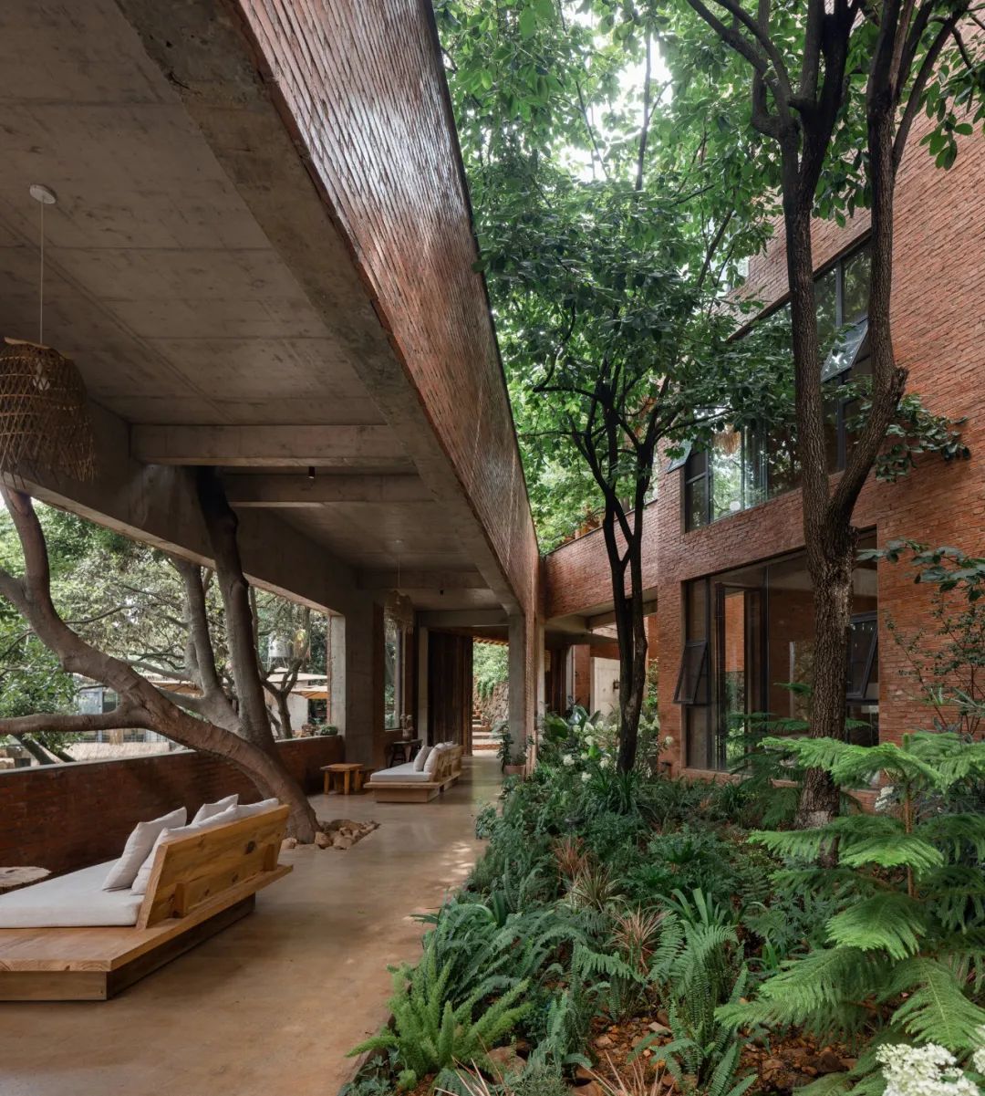 Dùng sạch tiền tiết kiệm 10 năm để về quê xây nhà: Quyết định "không tính giá" khiến cô gái 34 tuổi trả giá đắt nhưng đổi lại cả cuộc đời- Ảnh 2.