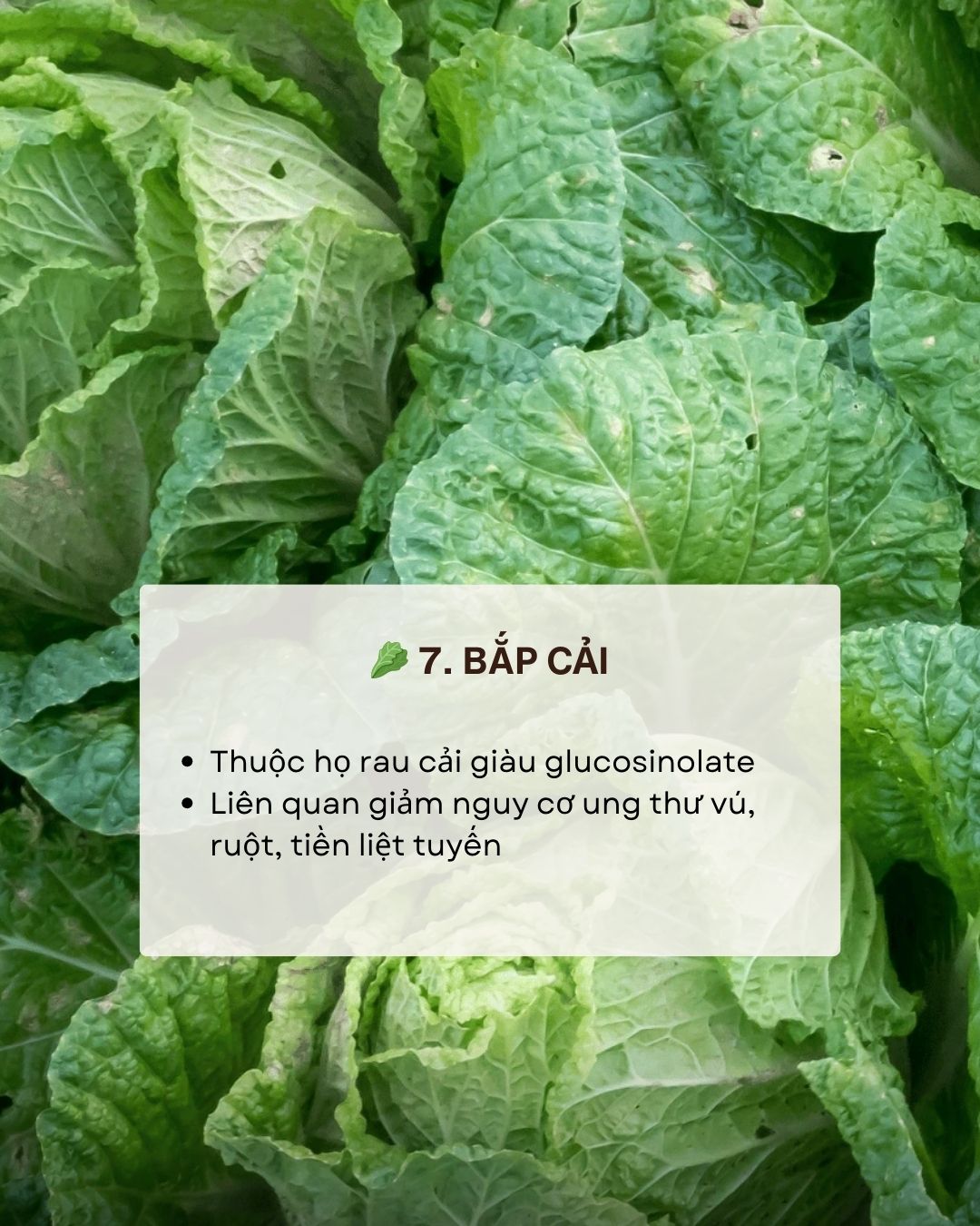Không phải thuốc bổ nhưng ăn đúng 7 thực phẩm này giúp giảm nguy cơ ung thư "từ gốc" - Ảnh 8. Không phải thuốc bổ nhưng ăn đúng 7 thực phẩm này giúp giảm nguy cơ ung thư "từ gốc" - Ảnh 8.
