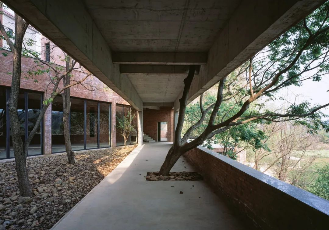 Dùng sạch tiền tiết kiệm 10 năm để về quê xây nhà: Quyết định "không tính giá" khiến cô gái 34 tuổi trả giá đắt nhưng đổi lại cả cuộc đời- Ảnh 13.