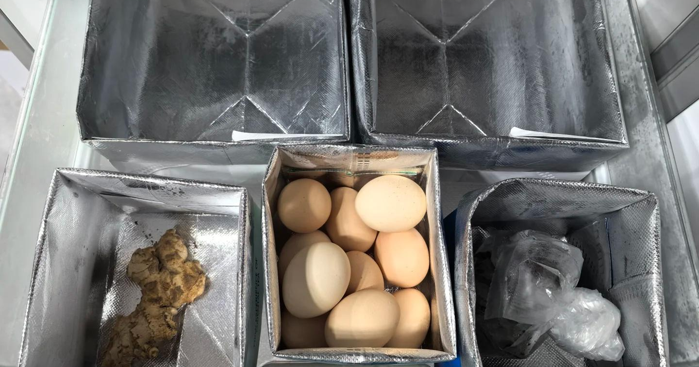 Người phụ nữ 50 tuổi khiến tôi "đứng hình": Nhà gọn gàng, sống đủ đầy mà gần như không tốn tiền - Ảnh 4. Người phụ nữ 50 tuổi khiến tôi "đứng hình": Nhà gọn gàng, sống đủ đầy mà gần như không tốn tiền - Ảnh 4.