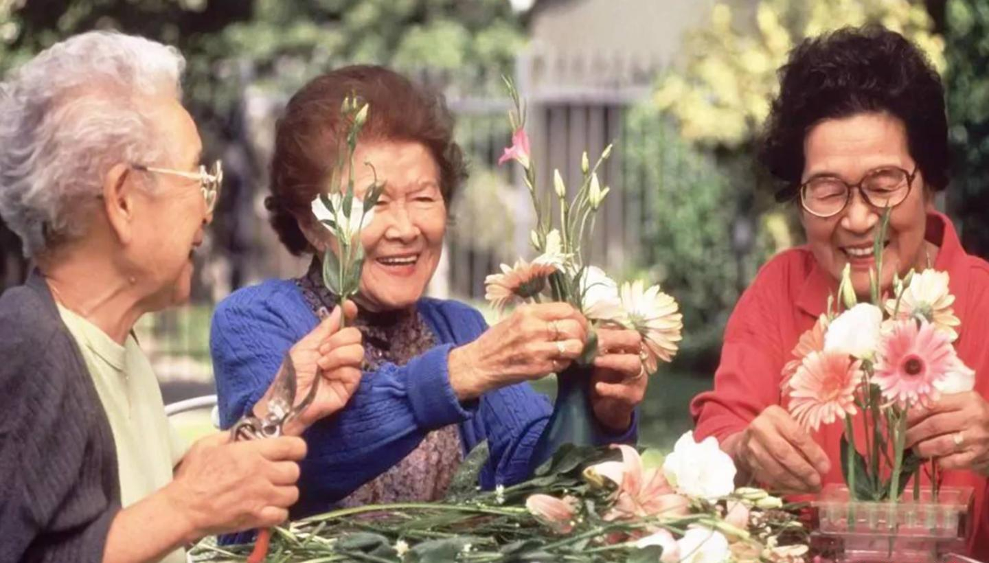 Sau nghỉ hưu, cả tin khi tham gia các nhóm người cao tuổi: Cái giá phải trả không hề nhỏ- Ảnh 4. Sau nghỉ hưu, cả tin khi tham gia các nhóm người cao tuổi: Cái giá phải trả không hề nhỏ- Ảnh 4.