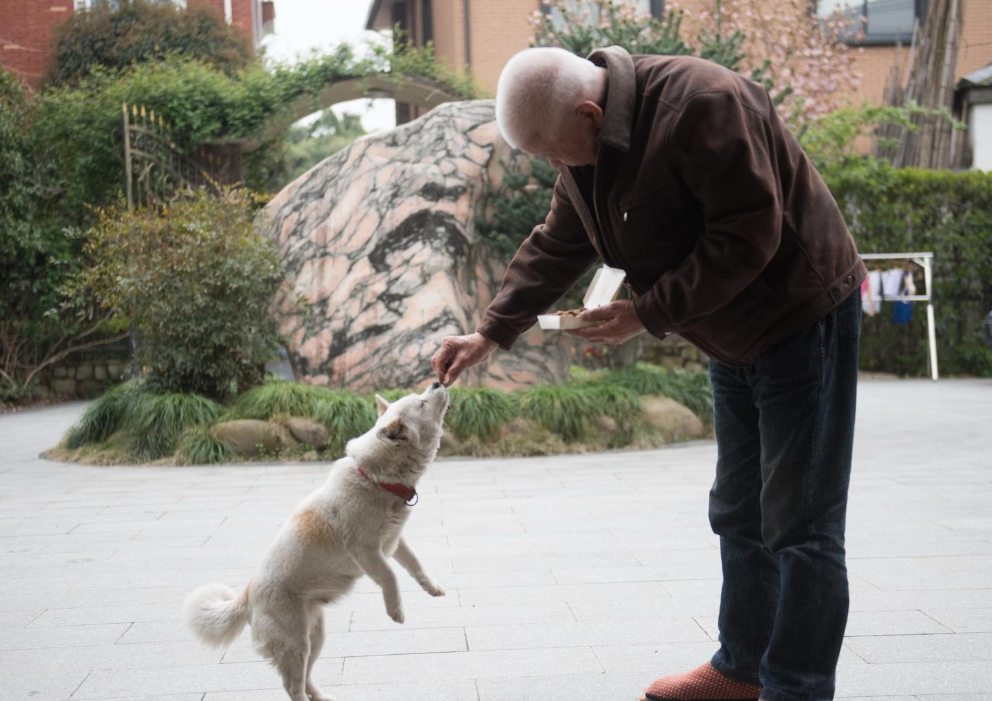 Sau nghỉ hưu, cả tin khi tham gia các nhóm người cao tuổi: Cái giá phải trả không hề nhỏ- Ảnh 5. Sau nghỉ hưu, cả tin khi tham gia các nhóm người cao tuổi: Cái giá phải trả không hề nhỏ- Ảnh 5.