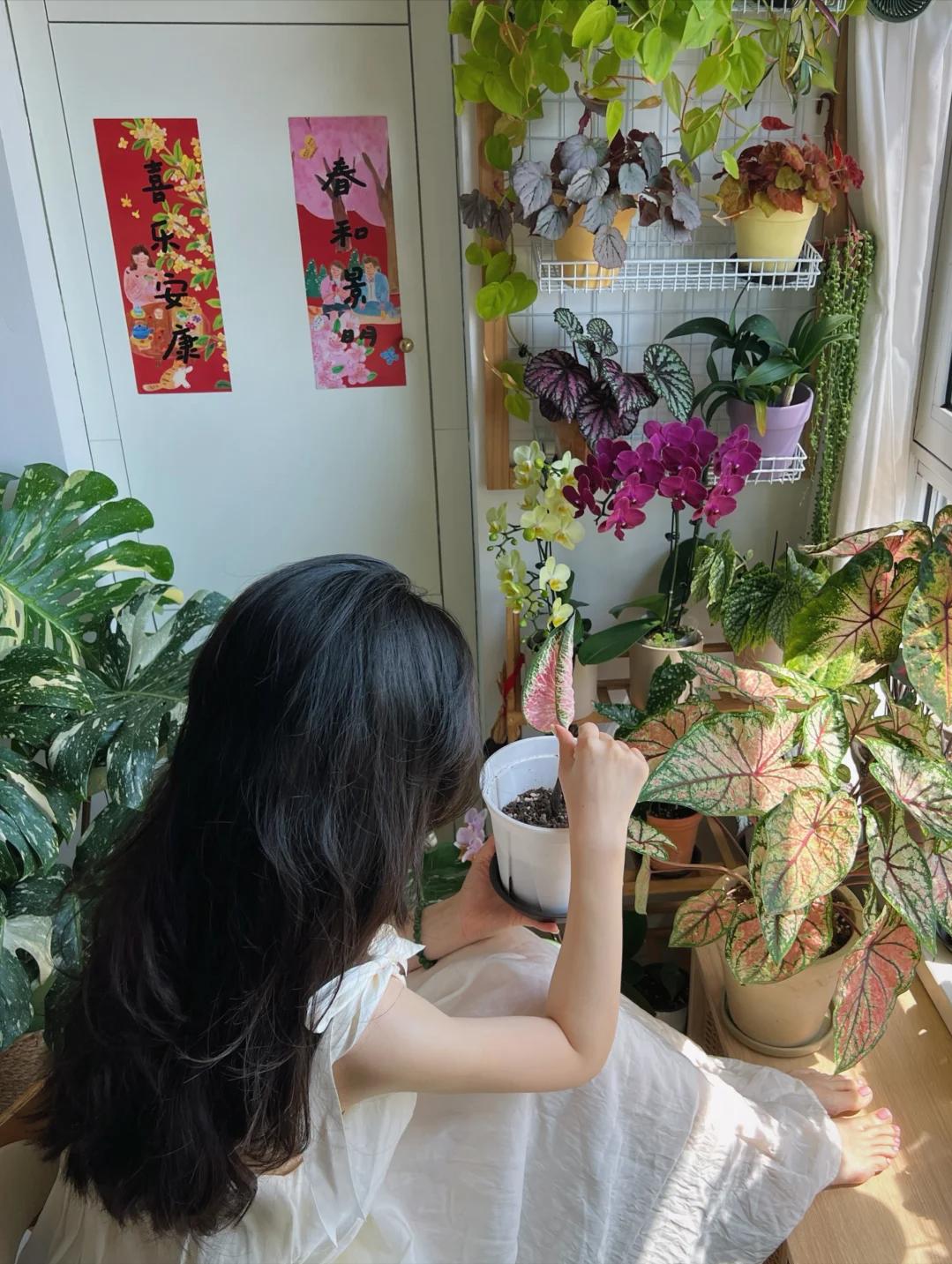 Không nhà vườn, không biệt thự: Ban công của bà mẹ trẻ khiến hàng nghìn người muốn sống chậm lại- Ảnh 4.