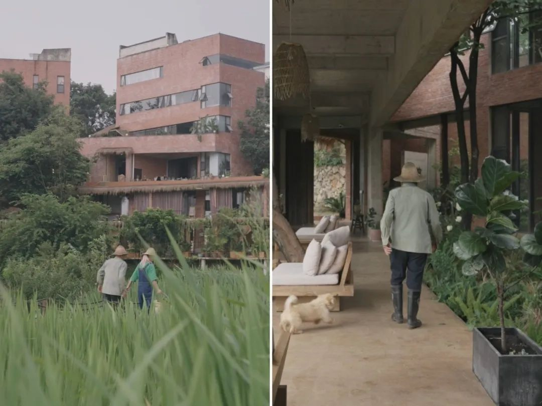 Dùng sạch tiền tiết kiệm 10 năm để về quê xây nhà: Quyết định "không tính giá" khiến cô gái 34 tuổi trả giá đắt nhưng đổi lại cả cuộc đời- Ảnh 19.