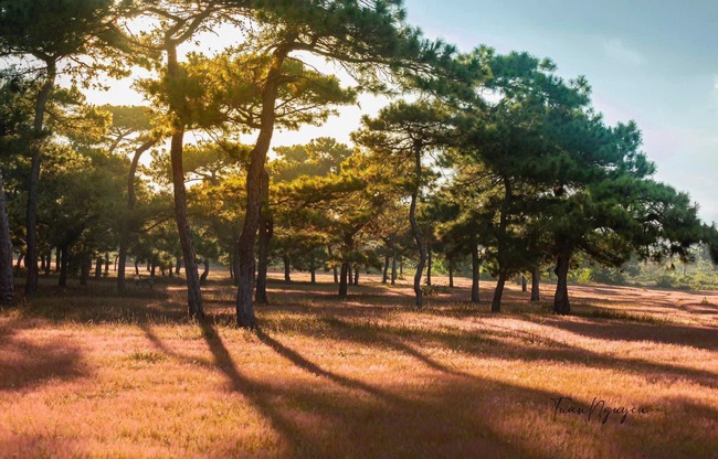 Sau nhiều năm chờ đợi, tin vui đã đến với dự án sân golf nghìn tỷ của Tập đoàn FLC tại Dak Đoa, Gia Lai- Ảnh 1.