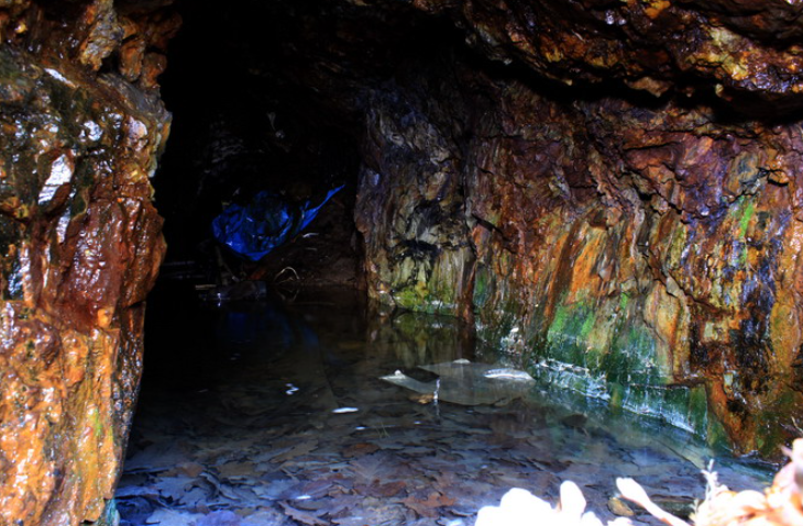 Phát minh biến "vua của các chất độc" thành báu vật chiến lược có thể rung chuyển ngành chip bán dẫn - Ảnh 2.