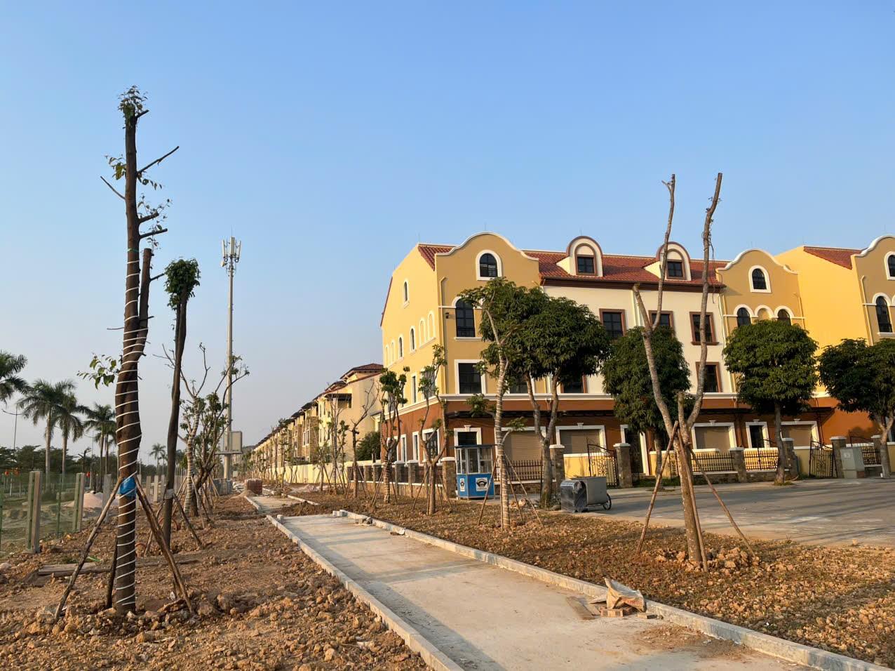 SJ Group tăng tốc triển khai Vista Nam An Khánh theo lộ trình đã công bố - Ảnh 3.