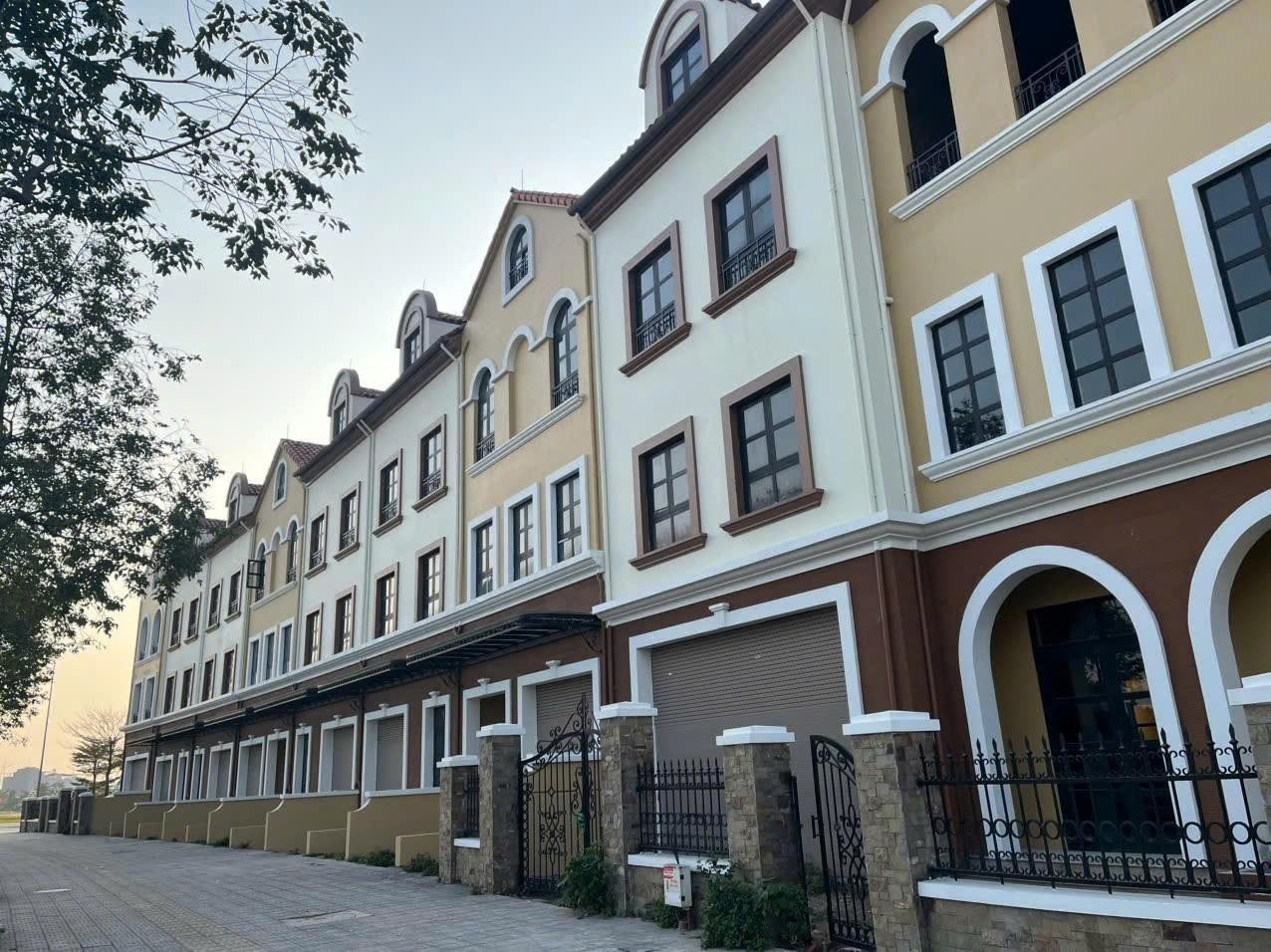 SJ Group tăng tốc triển khai Vista Nam An Khánh theo lộ trình đã công bố - Ảnh 4.