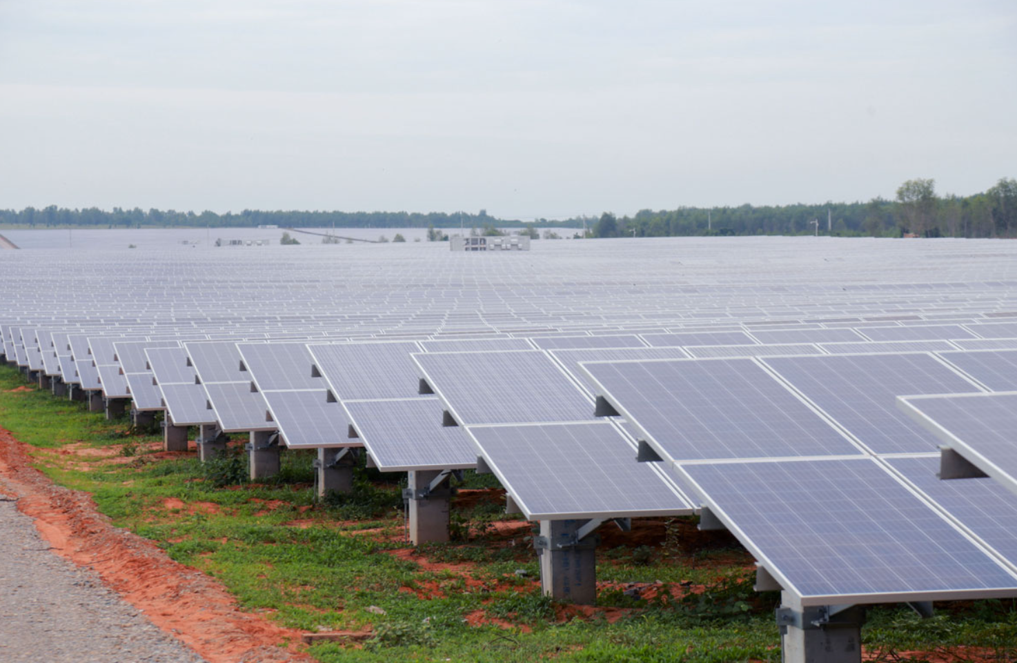 Xử phạt loạt doanh nghiệp liên quan đến WTO - Ảnh 2.