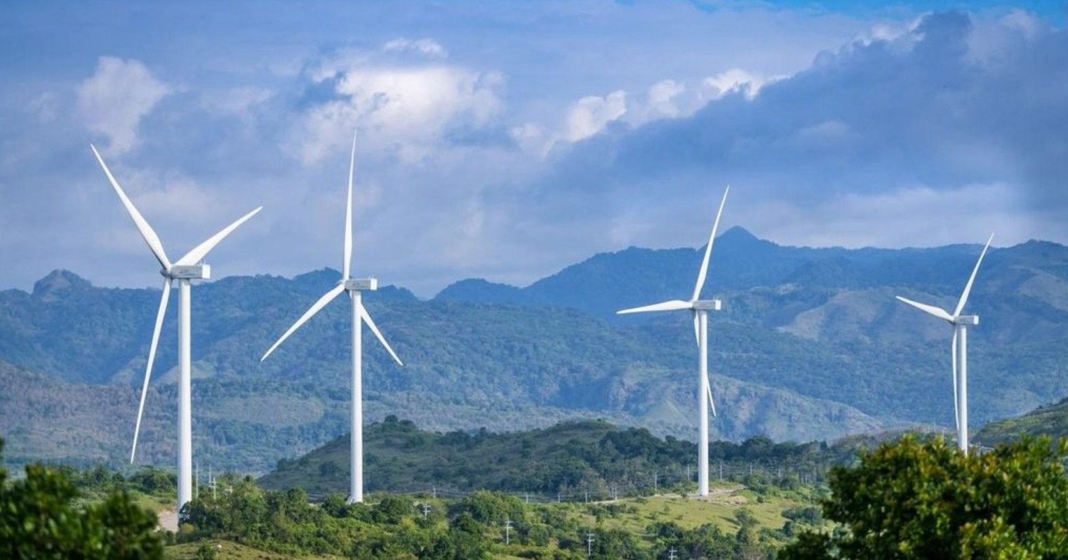 Xử phạt loạt doanh nghiệp liên quan đến WTO - Ảnh 1.