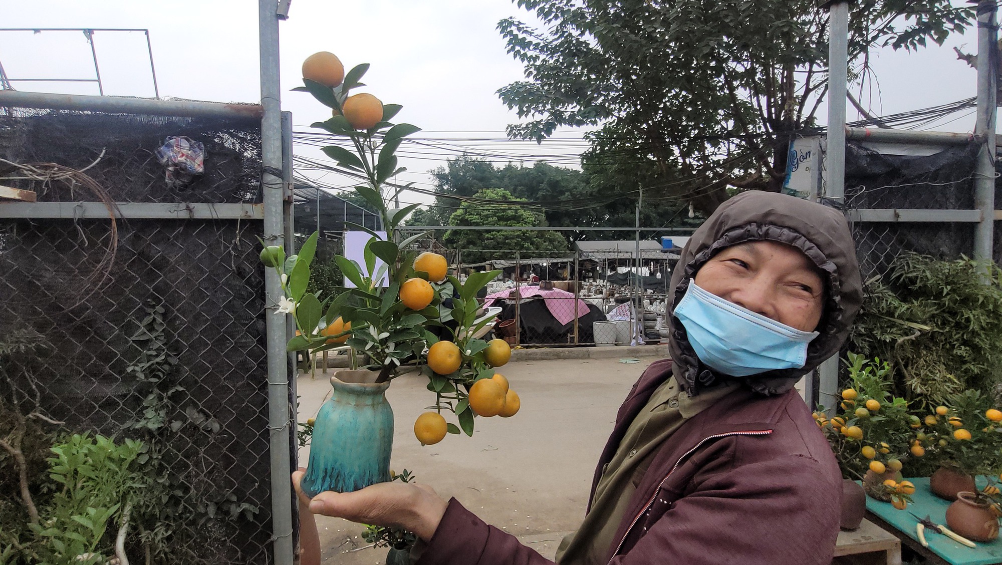 Quất bonsai mini giá rẻ cho Tết Nguyên đán 2026 , lựa chọn hoàn hảo cho không gian sống - Ảnh 1.