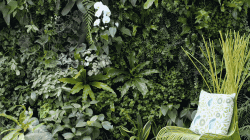 Con cái ra riêng, cặp vợ chồng trung niên bỏ 35 tỷ cải tạo nhà thành viện dưỡng lão tại gia cho chính mình- Ảnh 9.