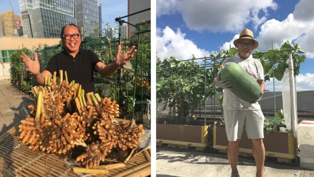 Cư dân thuê 1m² sân thượng để trồng rau: Xu hướng “nông dân đô thị” giúp tiết kiệm tiền ăn và sống xanh giữa thành phố bê tông- Ảnh 13.