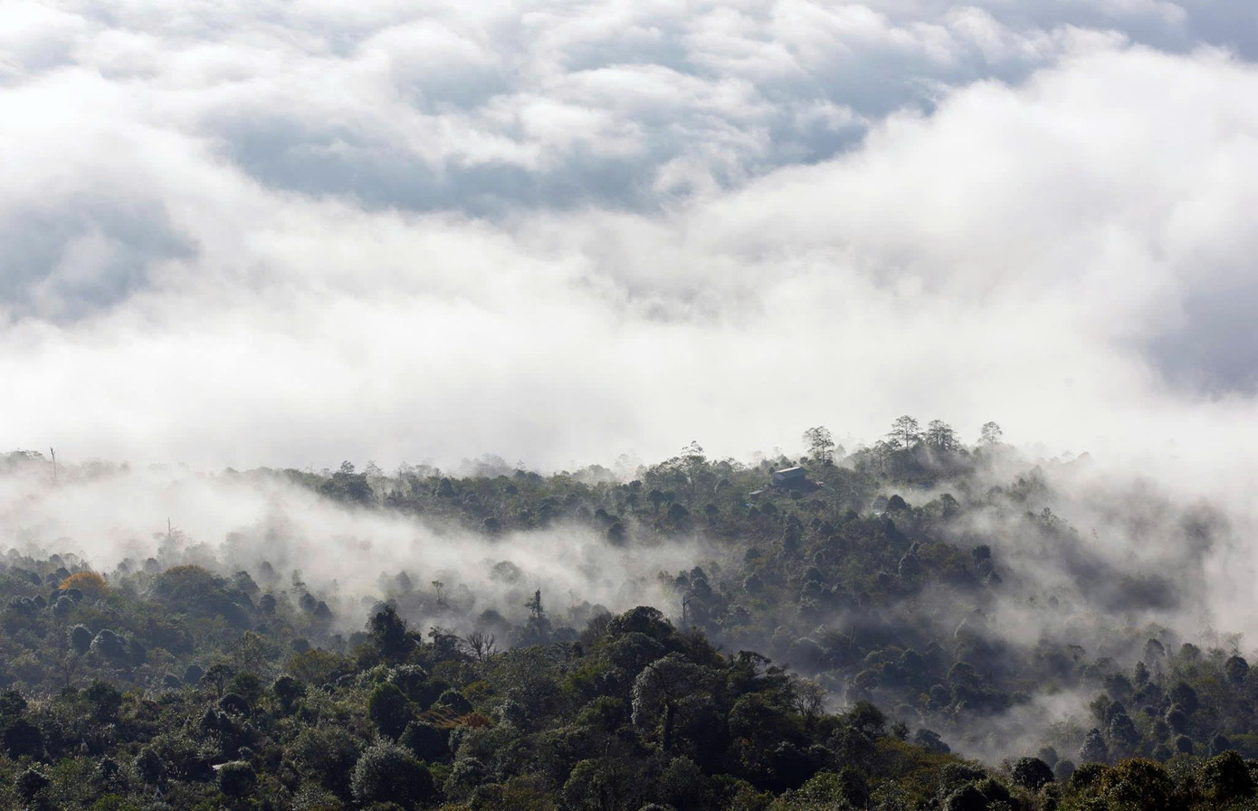 Chiêm ngưỡng biển mây ở 'chín tầng thang'- Ảnh 9.