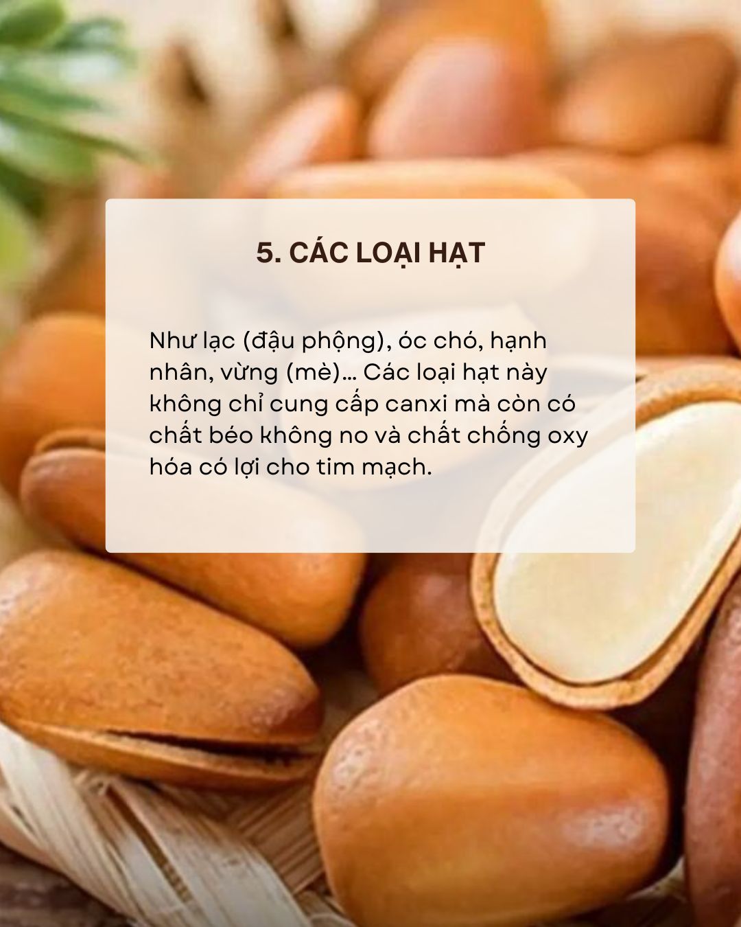 Sau 30 tuổi, xương bắt đầu yếu đi, nhiều người thiếu canxi mà không biết: 8 thực phẩm giàu canxi người Việt đang ăn sai- Ảnh 5.