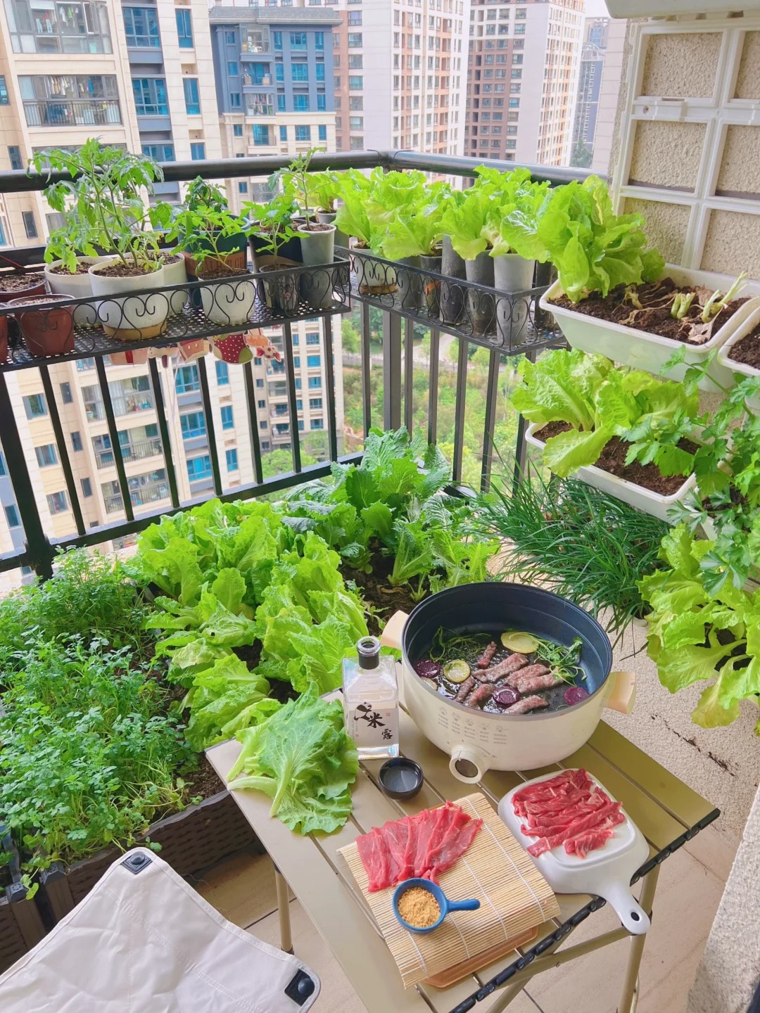 Tôi bắt đầu trồng rau tại nhà vì nghĩ cho vui, 3 tháng sau nhận ra mình đã tiết kiệm được một khoản không nhỏ- Ảnh 3.