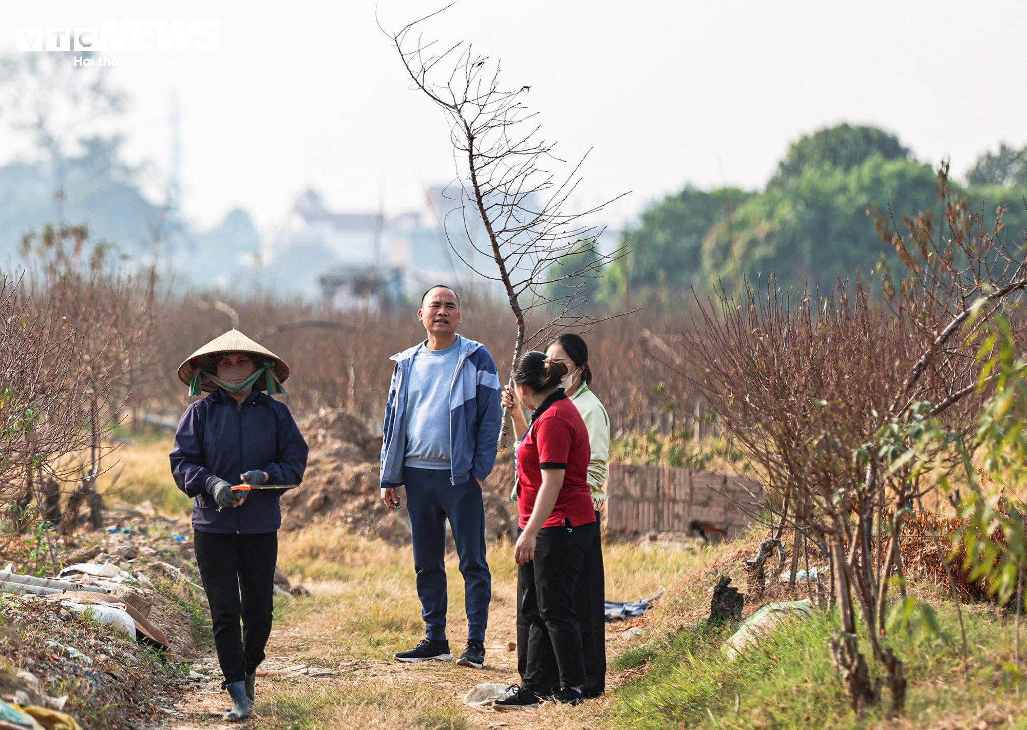 Người dân 'thủ phủ' trồng đào ở Hà Nội tất bật chuẩn bị cho Tết Nguyên đán- Ảnh 6.
