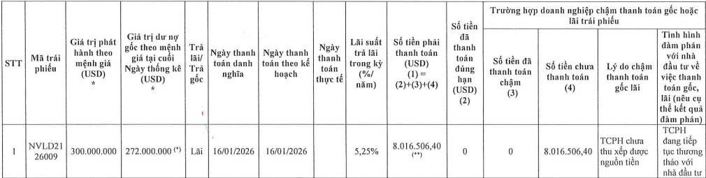 Novaland chậm thanh toán lãi cho lô trái phiếu chuyển đổi 300 triệu USD - Ảnh 1.