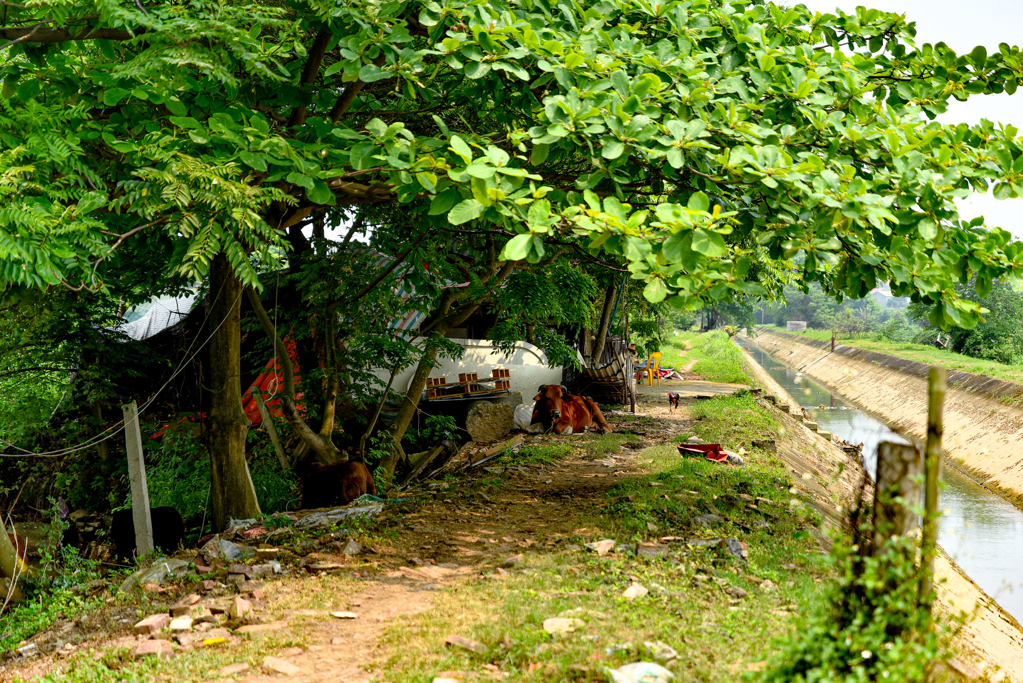 So găng ga đầu và ga cuối tuyến đường sắt cao tốc 67 tỷ USD: Một ga rộng top đầu Đông Nam Á, một ga nằm ở trung tâm mới của TP.HCM - Ảnh 10.