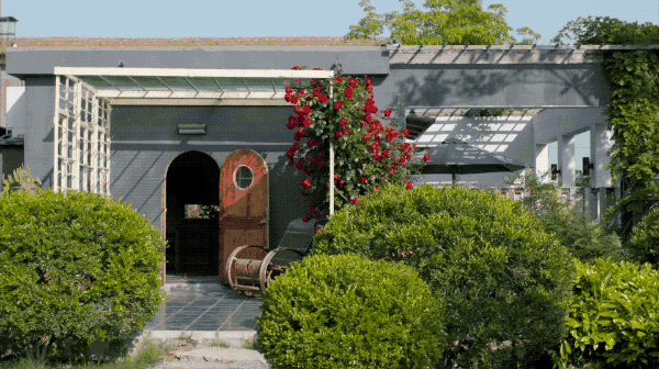 Rời trung tâm thành phố, sống nhà vườn ở ngoại ô: Câu chuyện của 3 gia đình và bài toán tiết kiệm tiền khiến nhiều người giật mình- Ảnh 3.