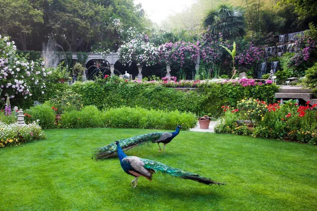 Rời trung tâm thành phố, sống nhà vườn ở ngoại ô: Câu chuyện của 3 gia đình và bài toán tiết kiệm tiền khiến nhiều người giật mình- Ảnh 10.