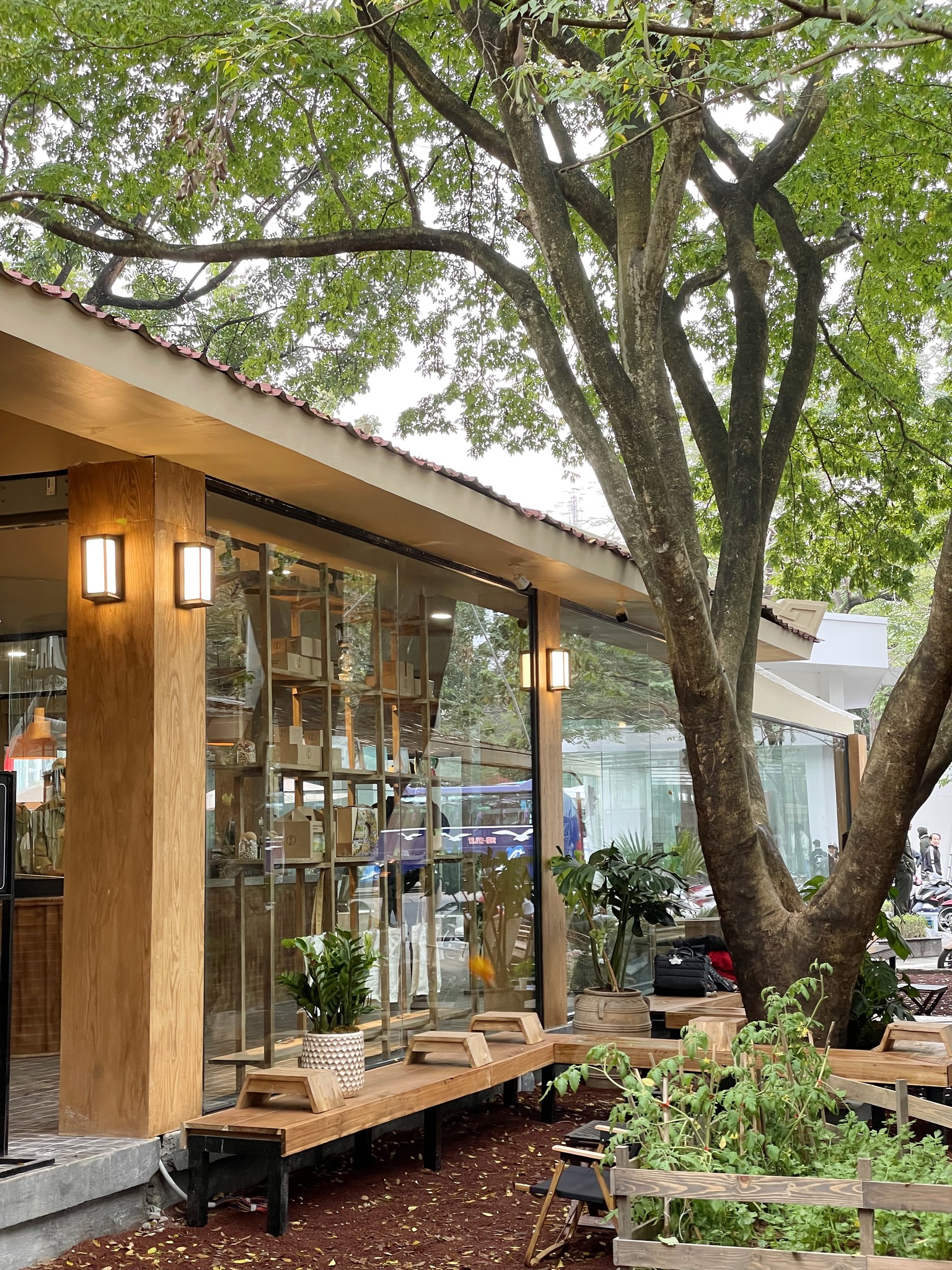 3 quán cà phê nằm gọn trong khuôn viên Bảo tàng Hồ Chí Minh, giới trẻ Thủ đô thi nhau truyền tai- Ảnh 6.