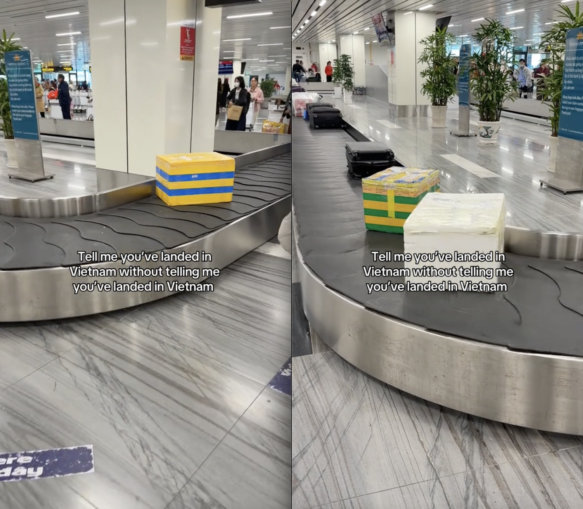 Khách Tây dán mắt vào 1 thứ trên băng chuyền sân bay: "Không cần nói cũng biết là bạn đã đến Việt Nam rồi" - Ảnh 2.