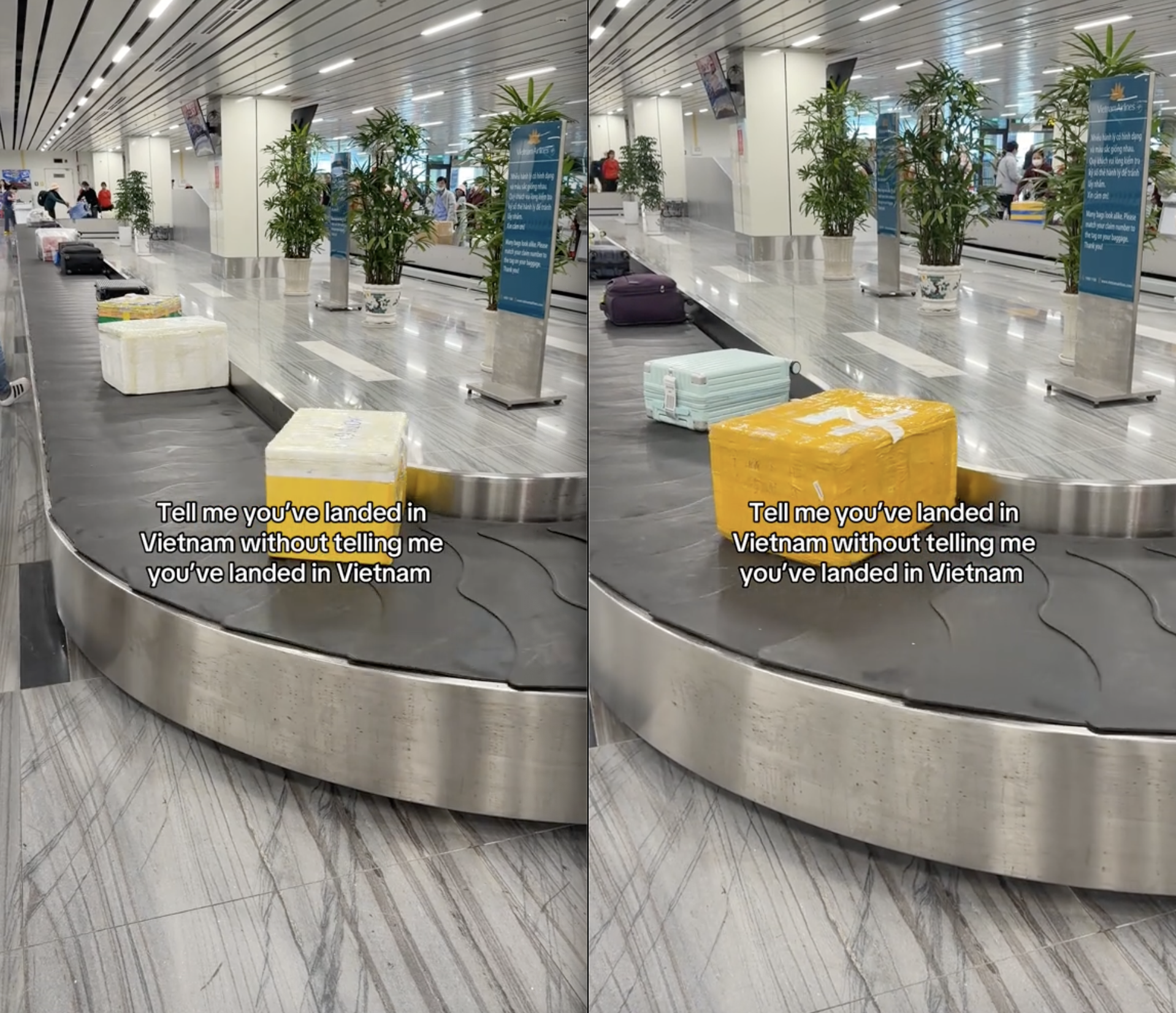 Khách Tây dán mắt vào 1 thứ trên băng chuyền sân bay: "Không cần nói cũng biết là bạn đã đến Việt Nam rồi" - Ảnh 3.