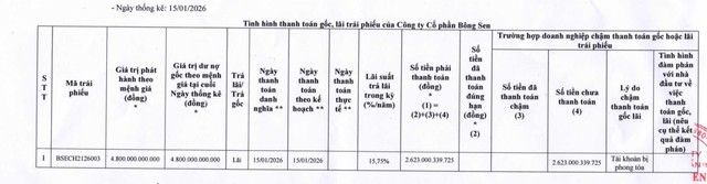 Doanh nghiệp liên quan đến bà Trương Mỹ Lan chậm thanh toán trái phiếu do tài khoản bị phong tỏa- Ảnh 1.