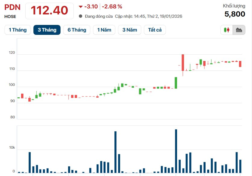 Công ty cảng biển 6.000 tỷ báo lãi kỷ lục, EPS 7.350 đồng, tiền mặt chiếm 50% tài sản- Ảnh 4.