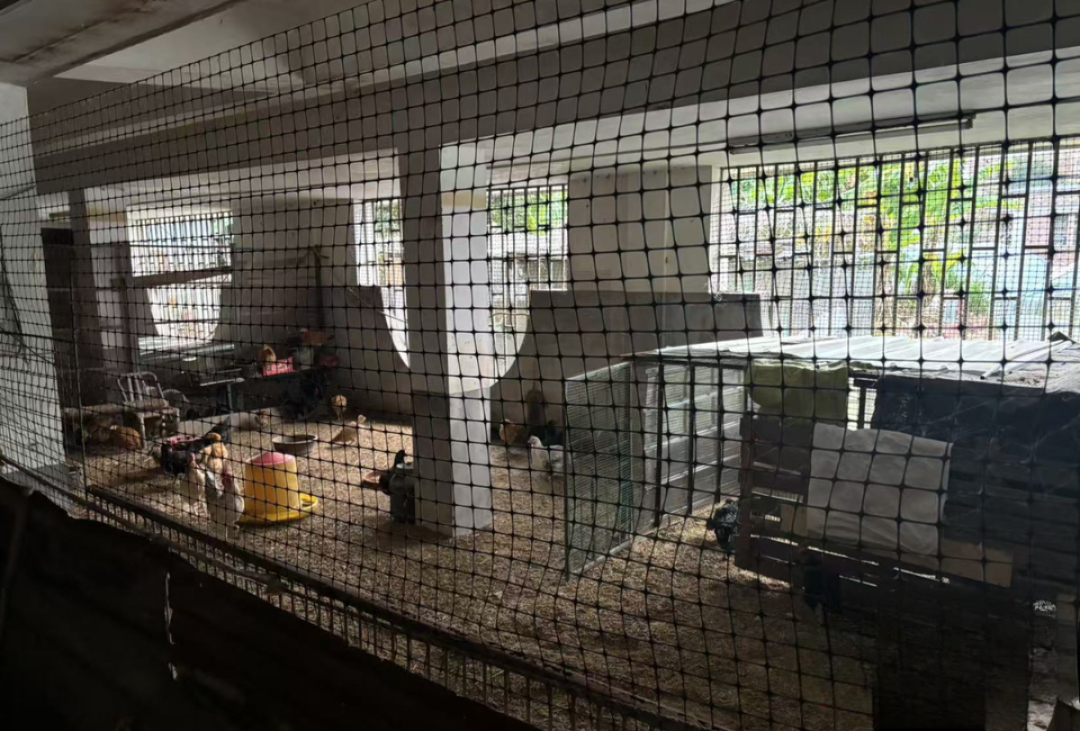 Phát hiện biệt thự 19 tỷ đồng khoá kín có mùi hôi bất thường, người đàn ông "chết lặng" khi bước xuống hầm, vội báo công an- Ảnh 3. Phát hiện biệt thự 19 tỷ đồng khoá kín có mùi hôi bất thường, người đàn ông "chết lặng" khi bước xuống hầm, vội báo công an- Ảnh 3.