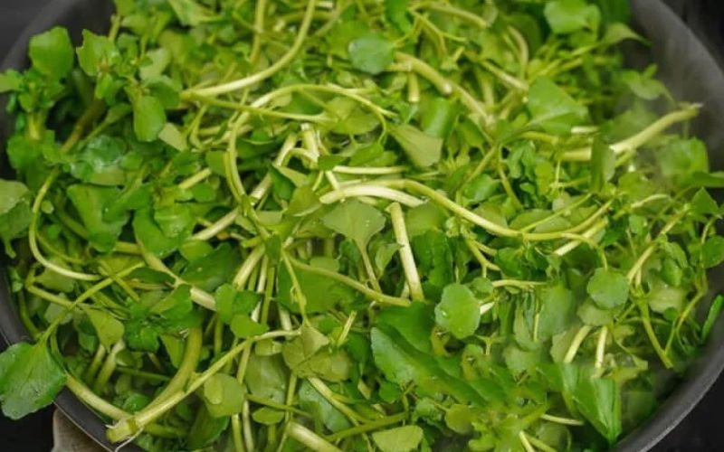 Có 1 loại rau vừa “soán ngôi” rau bina để trở thành “ông hoàng rau xanh”, vừa giảm cân lại giúp trẻ lâu, ra chợ nào hỏi cũng có- Ảnh 4.