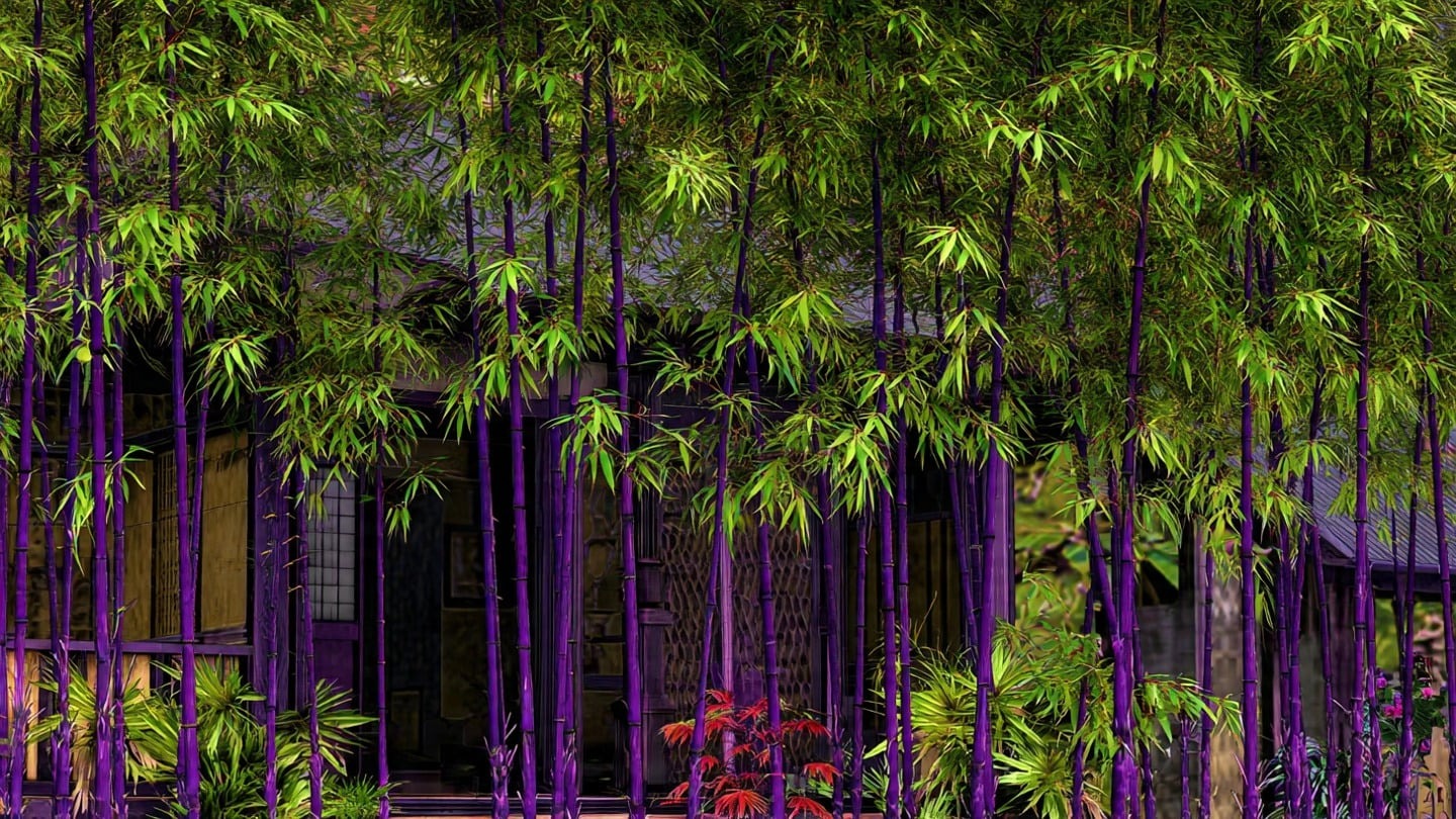 4 cây cảnh "đổi vận" cho chủ, nhà giàu nào cũng chuộng: Càng trồng càng lắm lộc, nhiều vận may - Ảnh 1. 4 cây cảnh "đổi vận" cho chủ, nhà giàu nào cũng chuộng: Càng trồng càng lắm lộc, nhiều vận may - Ảnh 1.