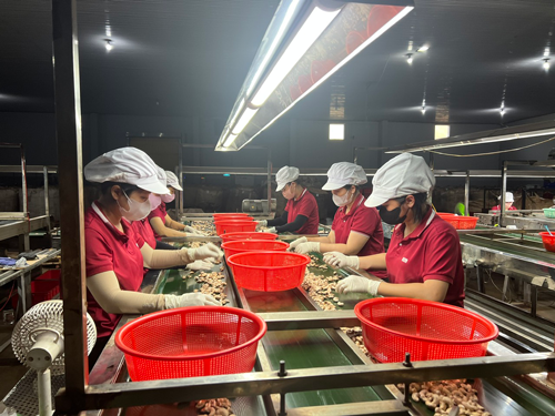 Tăng sức cạnh tranh cho doanh nghiệp Việt- Ảnh 1.