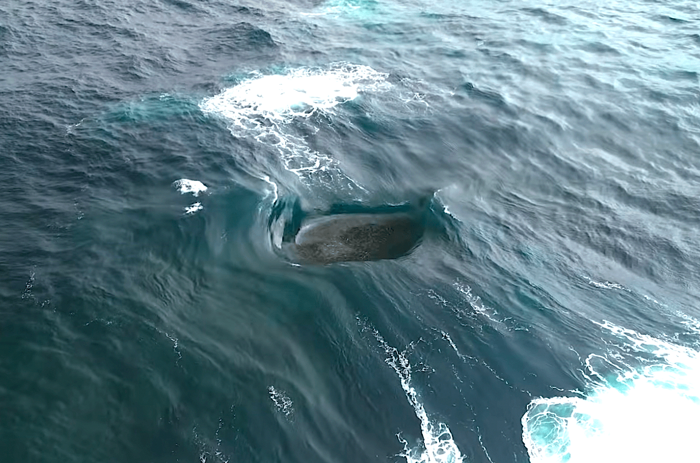 Kỳ quan "con sóng điên rồ nhất thế giới" tại Úc gây bão mạng xã hội vì quá ảo diệu giống hệt sản phẩm AI - Ảnh 1.