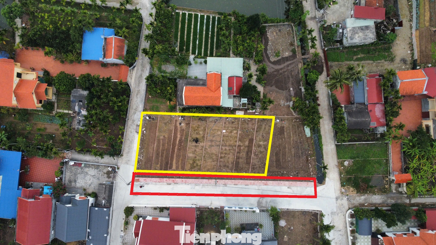 Hải Phòng cho phép chuyển đổi mục đích sử dụng đất trở lại- Ảnh 1.