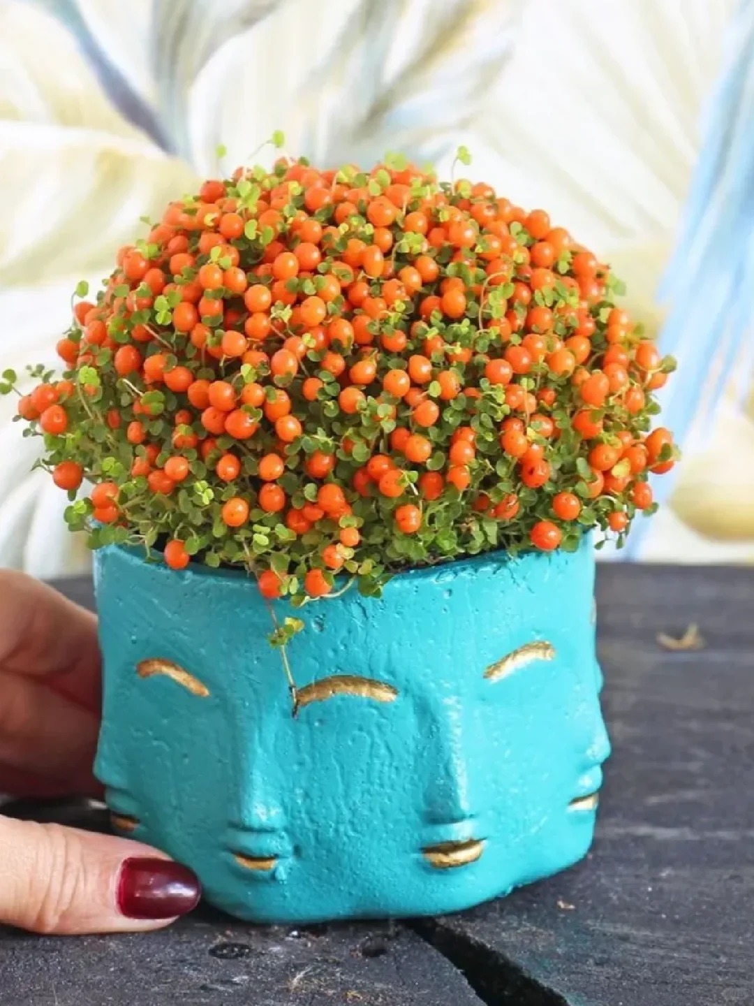 "Bảo bối" phong thủy mới cho Tết Bính Ngọ 2026: Tên nghe sang chảnh, bé xíu xiu mà hút lộc cả năm- Ảnh 15.