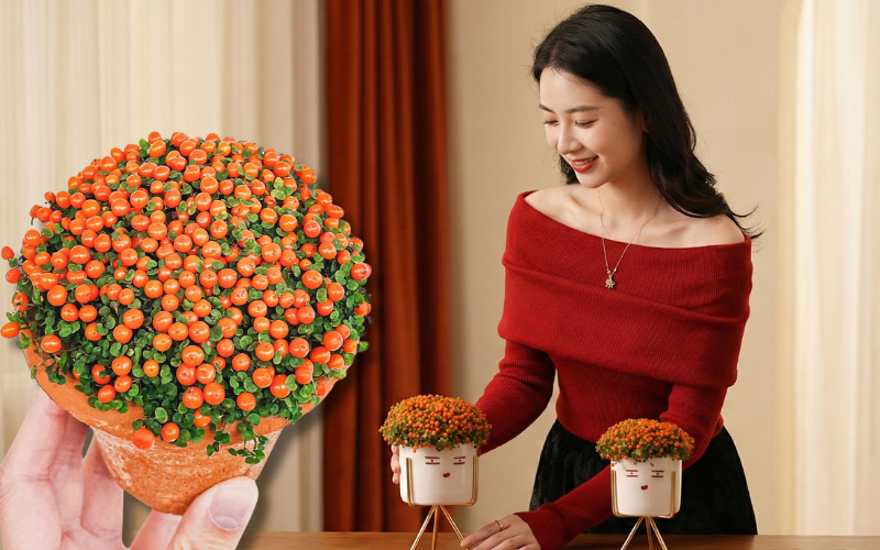 "Bảo bối" phong thủy mới cho Tết Bính Ngọ 2026: Tên nghe sang chảnh, bé xíu xiu mà hút lộc cả năm- Ảnh 1.