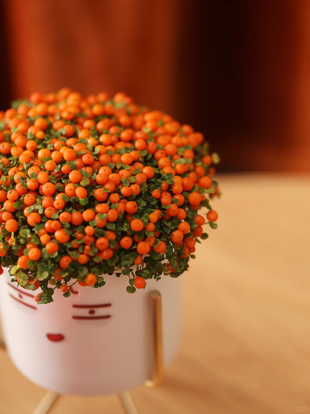 "Bảo bối" phong thủy mới cho Tết Bính Ngọ 2026: Tên nghe sang chảnh, bé xíu xiu mà hút lộc cả năm- Ảnh 19.