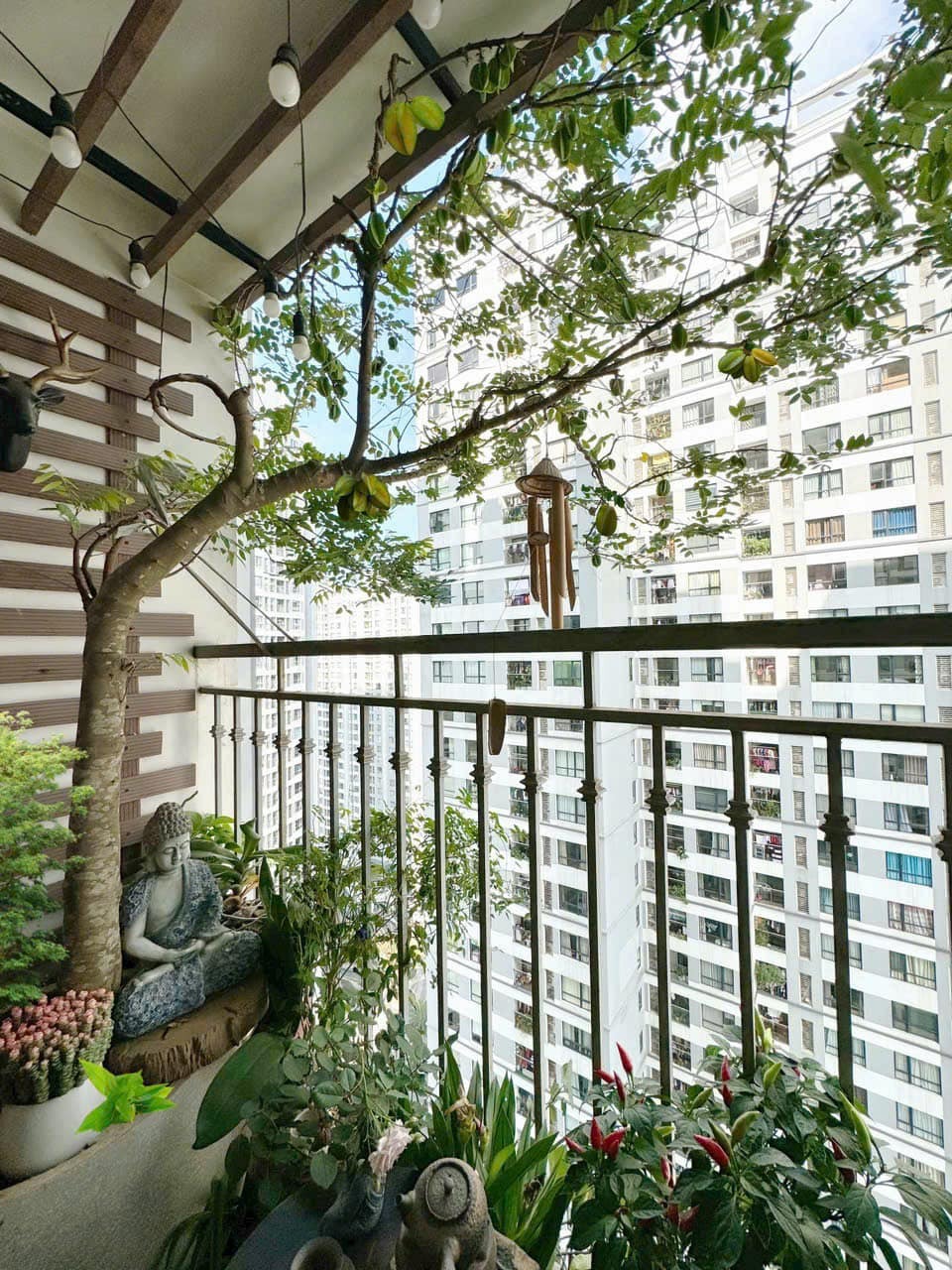 Ban công nhà giàu thường đặt 5 loại cây này để trấn giữ của cải, tiền bạc ở lại lâu hơn- Ảnh 6.