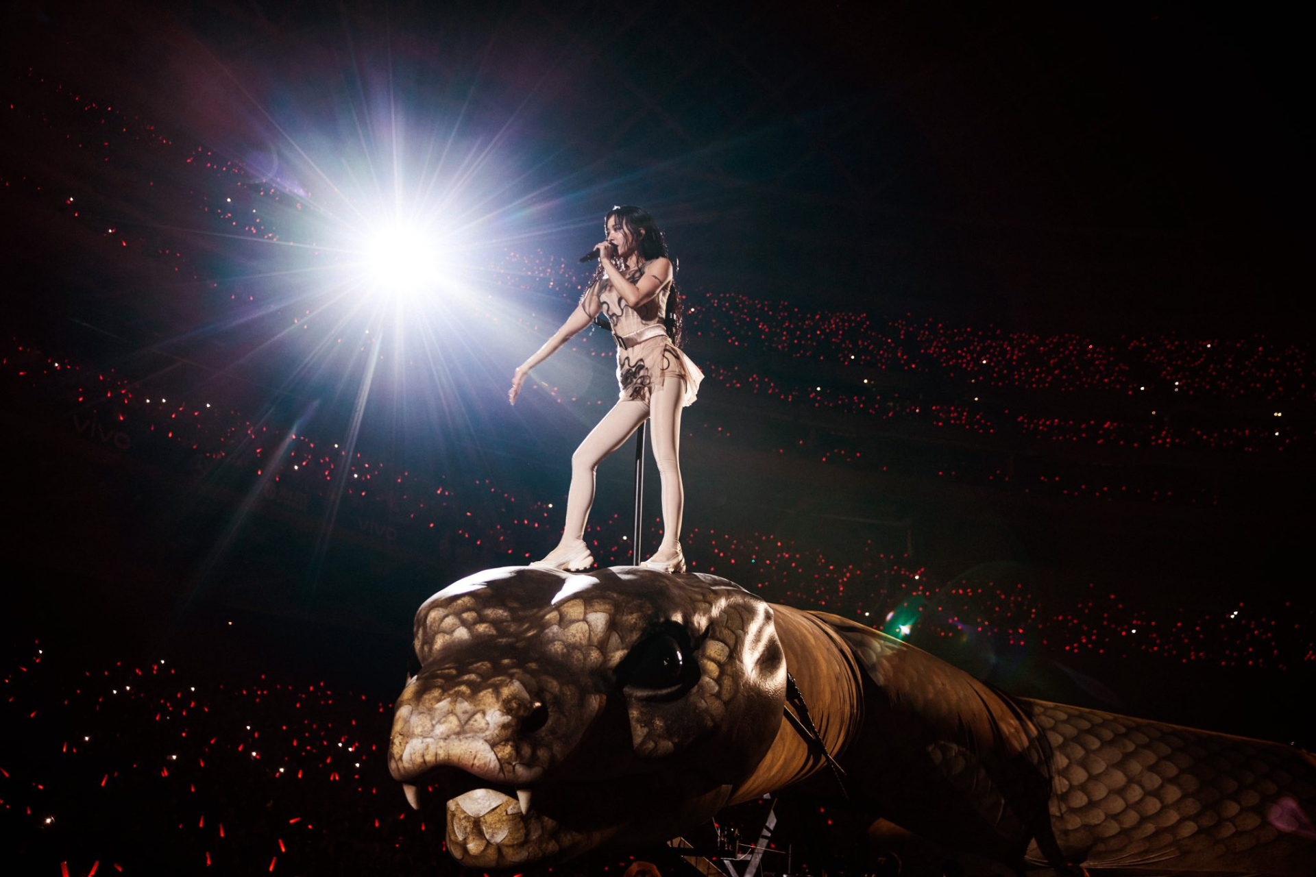 Cái kết của siêu concert "trăn khổng lồ" 700 tỷ: Đài Truyền hình Quốc gia ra thông báo quan trọng- Ảnh 1.