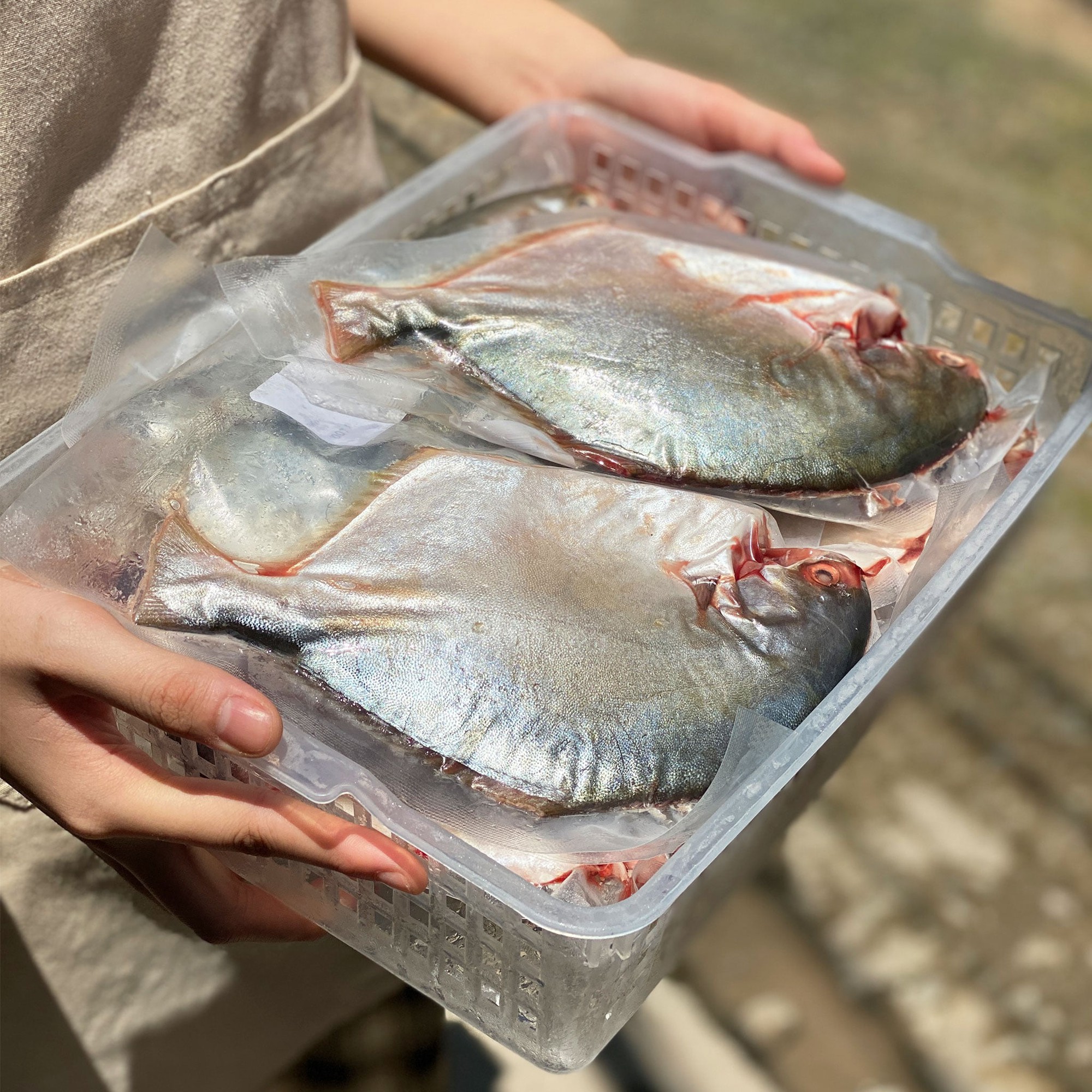 3 loại cá âm thầm nuôi trí não: Chợ Việt bán đầy nhưng chỉ dân sành mới biết để mua- Ảnh 2.