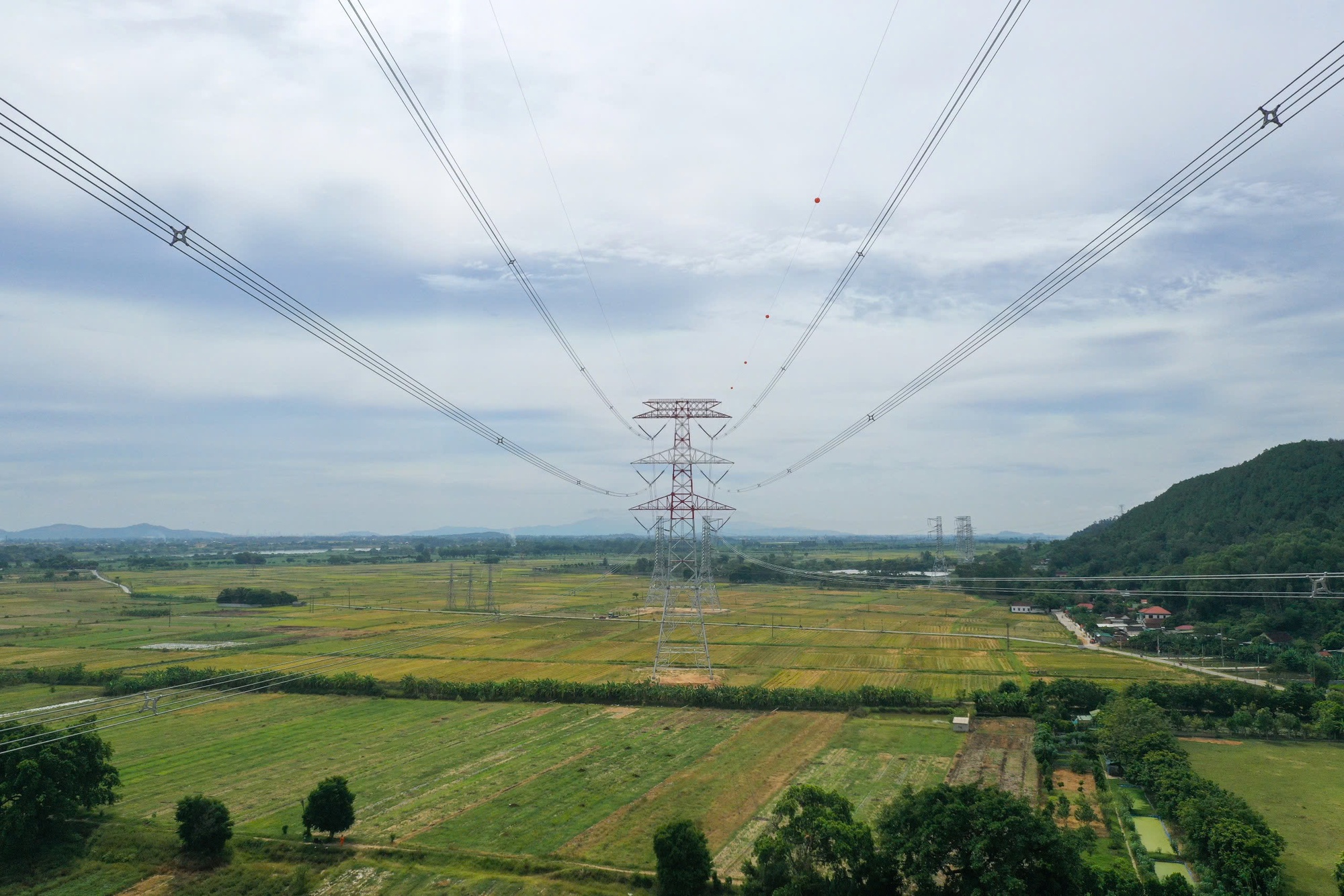 Kinh tế nhà nước và mệnh lệnh đổi mới - Ảnh 1.