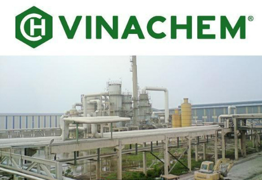 Dừng phiên đấu giá hơn 2 triệu cổ phần tại Vinachimex thuộc sở hữu Vinachem - Ảnh 1.